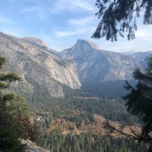 Meet your Posher, Trish